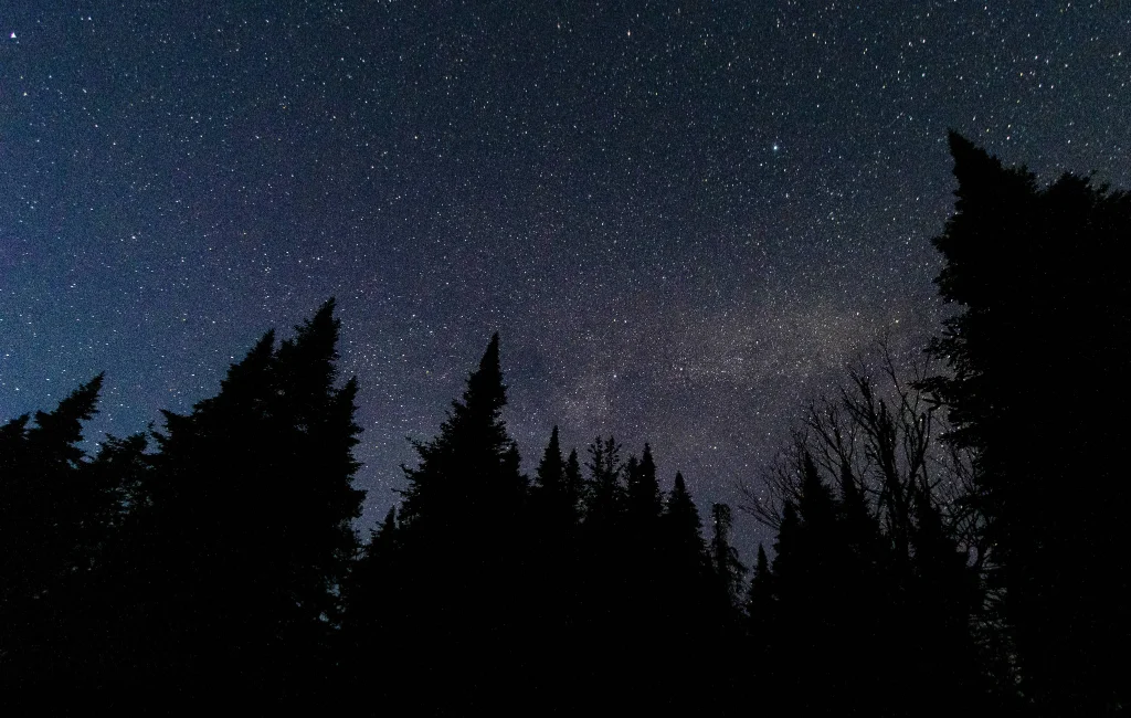 Starry sky over Mont-Mégantic dark sky reserve, spruce silhouettes at night