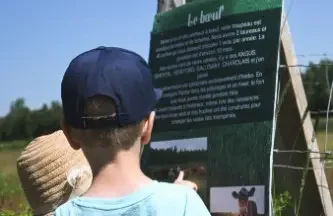 Séjour immersif à Lac-Mégantic