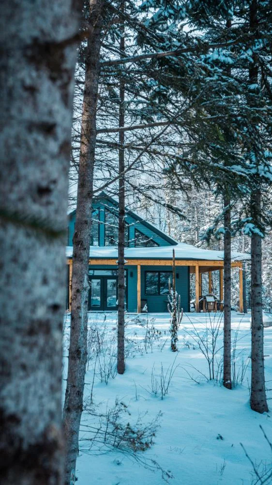 Le Bōrivage entre les arbres enneigés