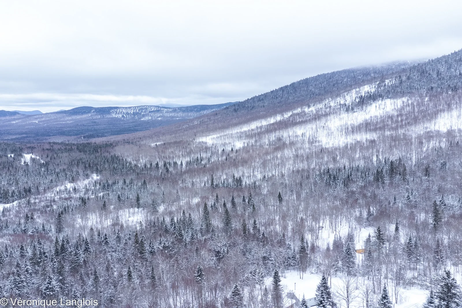 Vue sur les montagnes en hiver